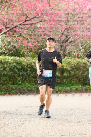 2026左岸竹東櫻花馬拉松Zhudong Sakura Marathon
