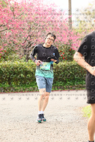 2026左岸竹東櫻花馬拉松Zhudong Sakura Marathon