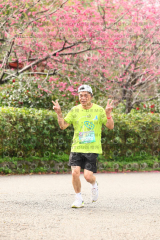 2026左岸竹東櫻花馬拉松Zhudong Sakura Marathon