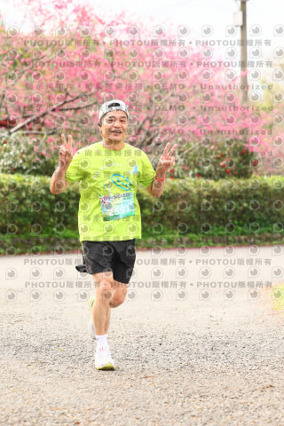 2026左岸竹東櫻花馬拉松Zhudong Sakura Marathon