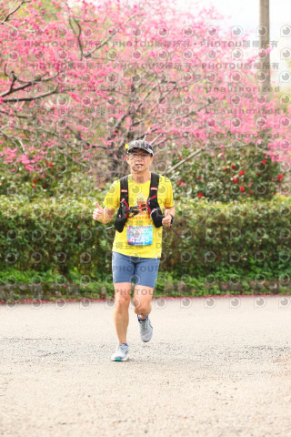 2026左岸竹東櫻花馬拉松Zhudong Sakura Marathon