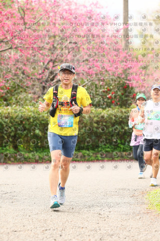 2026左岸竹東櫻花馬拉松Zhudong Sakura Marathon
