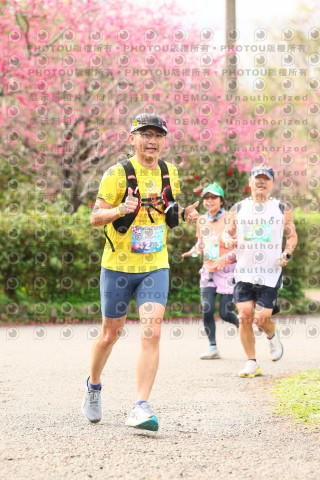 2026左岸竹東櫻花馬拉松Zhudong Sakura Marathon