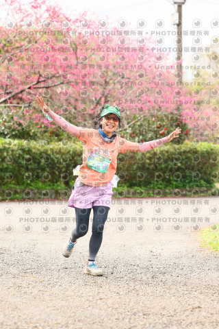 2026左岸竹東櫻花馬拉松Zhudong Sakura Marathon