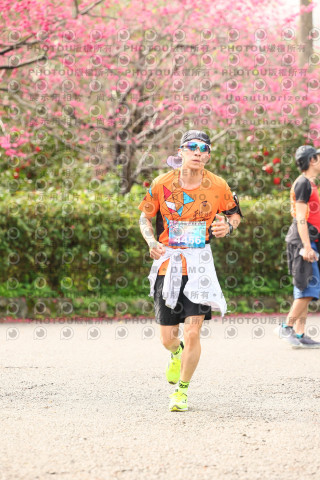 2026左岸竹東櫻花馬拉松Zhudong Sakura Marathon