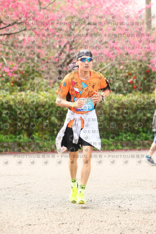 2026左岸竹東櫻花馬拉松Zhudong Sakura Marathon