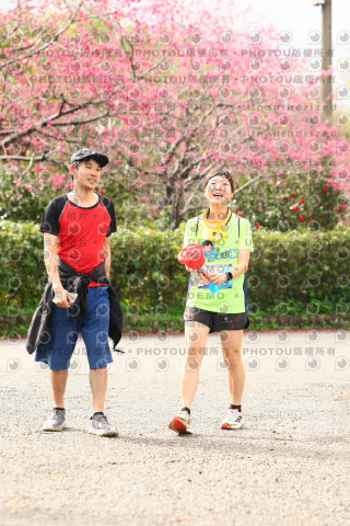 2026左岸竹東櫻花馬拉松Zhudong Sakura Marathon