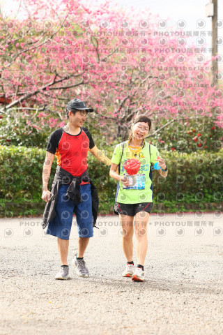 2026左岸竹東櫻花馬拉松Zhudong Sakura Marathon