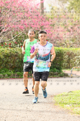 2026左岸竹東櫻花馬拉松Zhudong Sakura Marathon
