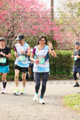 2026左岸竹東櫻花馬拉松Zhudong Sakura Marathon