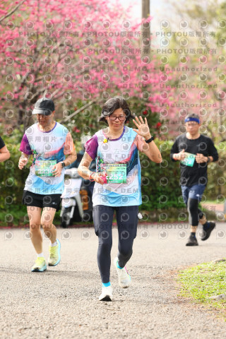 2026左岸竹東櫻花馬拉松Zhudong Sakura Marathon
