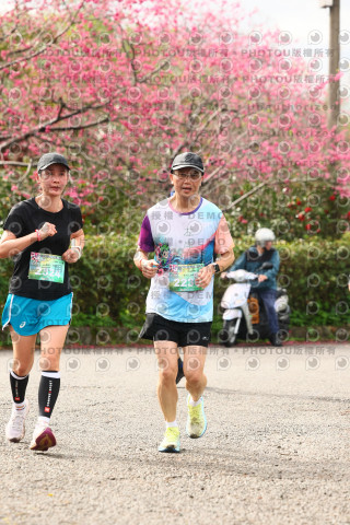 2026左岸竹東櫻花馬拉松Zhudong Sakura Marathon