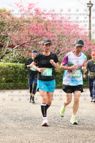 2026左岸竹東櫻花馬拉松Zhudong Sakura Marathon