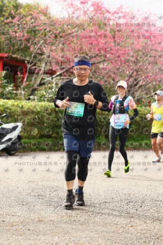 2026左岸竹東櫻花馬拉松Zhudong Sakura Marathon