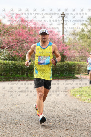 2026左岸竹東櫻花馬拉松Zhudong Sakura Marathon