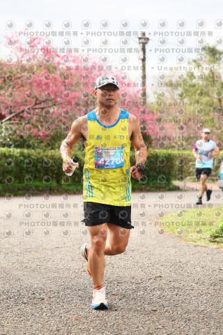 2026左岸竹東櫻花馬拉松Zhudong Sakura Marathon