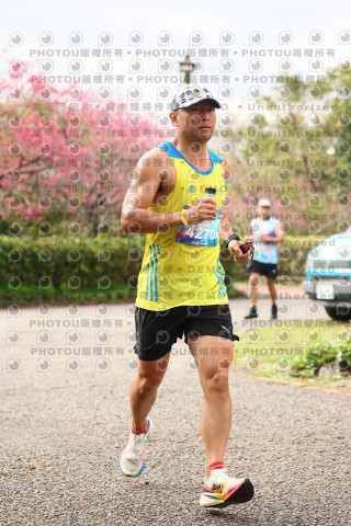 2026左岸竹東櫻花馬拉松Zhudong Sakura Marathon