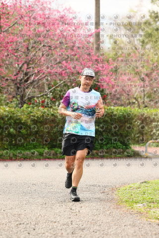 2026左岸竹東櫻花馬拉松Zhudong Sakura Marathon
