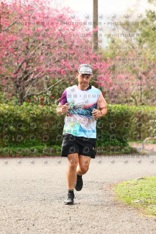 2026左岸竹東櫻花馬拉松Zhudong Sakura Marathon