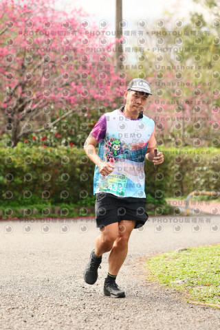 2026左岸竹東櫻花馬拉松Zhudong Sakura Marathon