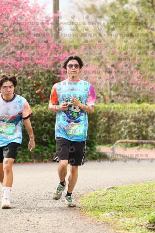 2026左岸竹東櫻花馬拉松Zhudong Sakura Marathon