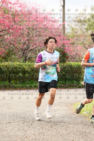 2026左岸竹東櫻花馬拉松Zhudong Sakura Marathon