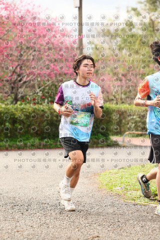 2026左岸竹東櫻花馬拉松Zhudong Sakura Marathon