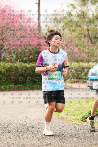 2026左岸竹東櫻花馬拉松Zhudong Sakura Marathon