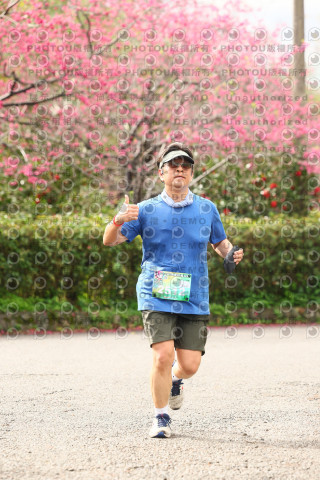 2026左岸竹東櫻花馬拉松Zhudong Sakura Marathon