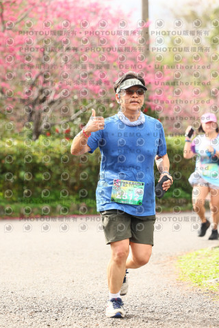 2026左岸竹東櫻花馬拉松Zhudong Sakura Marathon