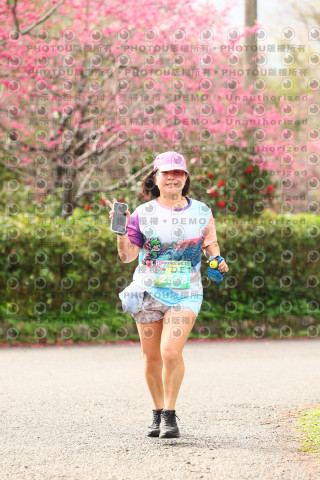 2026左岸竹東櫻花馬拉松Zhudong Sakura Marathon