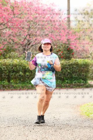 2026左岸竹東櫻花馬拉松Zhudong Sakura Marathon