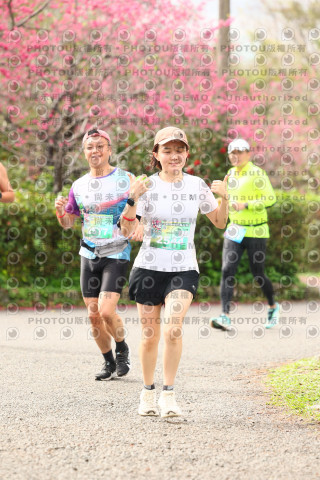 2026左岸竹東櫻花馬拉松Zhudong Sakura Marathon