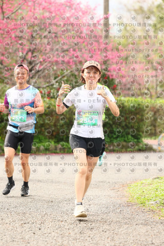2026左岸竹東櫻花馬拉松Zhudong Sakura Marathon