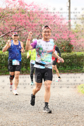 2026左岸竹東櫻花馬拉松Zhudong Sakura Marathon