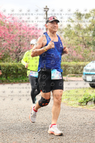 2026左岸竹東櫻花馬拉松Zhudong Sakura Marathon