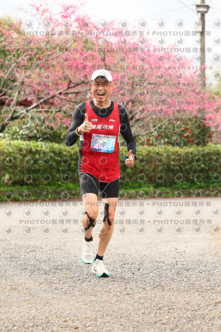 2026左岸竹東櫻花馬拉松Zhudong Sakura Marathon