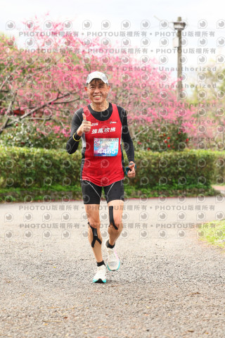 2026左岸竹東櫻花馬拉松Zhudong Sakura Marathon
