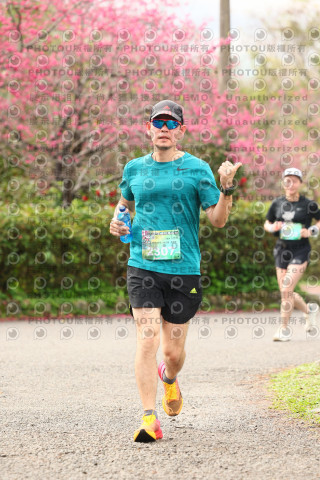 2026左岸竹東櫻花馬拉松Zhudong Sakura Marathon