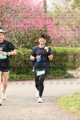 2026左岸竹東櫻花馬拉松Zhudong Sakura Marathon