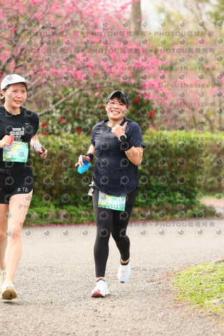 2026左岸竹東櫻花馬拉松Zhudong Sakura Marathon