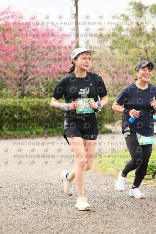 2026左岸竹東櫻花馬拉松Zhudong Sakura Marathon