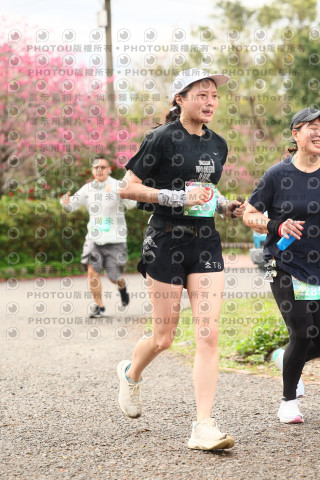 2026左岸竹東櫻花馬拉松Zhudong Sakura Marathon