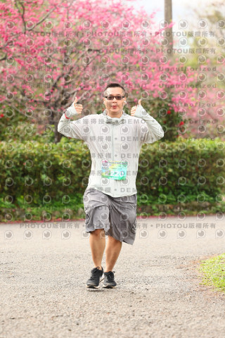 2026左岸竹東櫻花馬拉松Zhudong Sakura Marathon