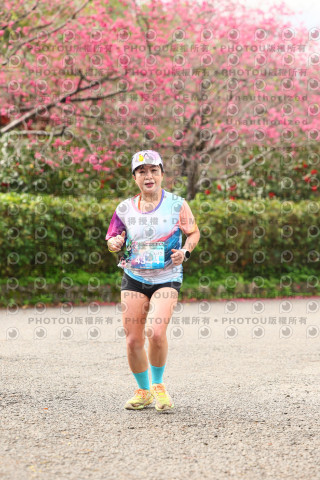 2026左岸竹東櫻花馬拉松Zhudong Sakura Marathon