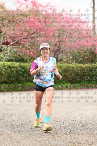 2026左岸竹東櫻花馬拉松Zhudong Sakura Marathon