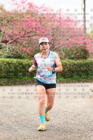 2026左岸竹東櫻花馬拉松Zhudong Sakura Marathon
