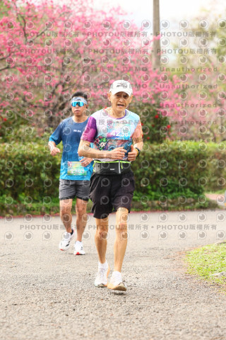 2026左岸竹東櫻花馬拉松Zhudong Sakura Marathon