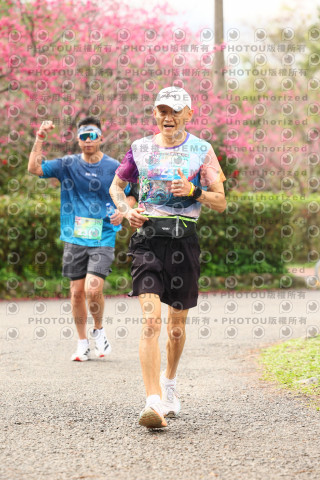 2026左岸竹東櫻花馬拉松Zhudong Sakura Marathon