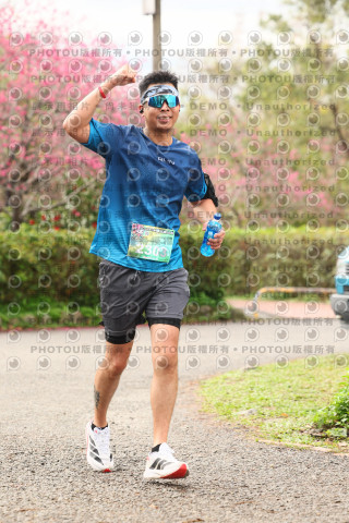 2026左岸竹東櫻花馬拉松Zhudong Sakura Marathon